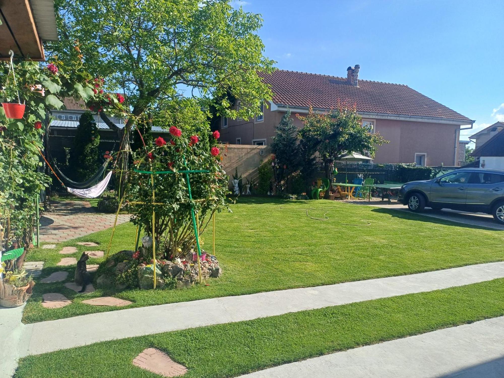 Casa Marinela Hotel Băile Felix Eksteriør billede