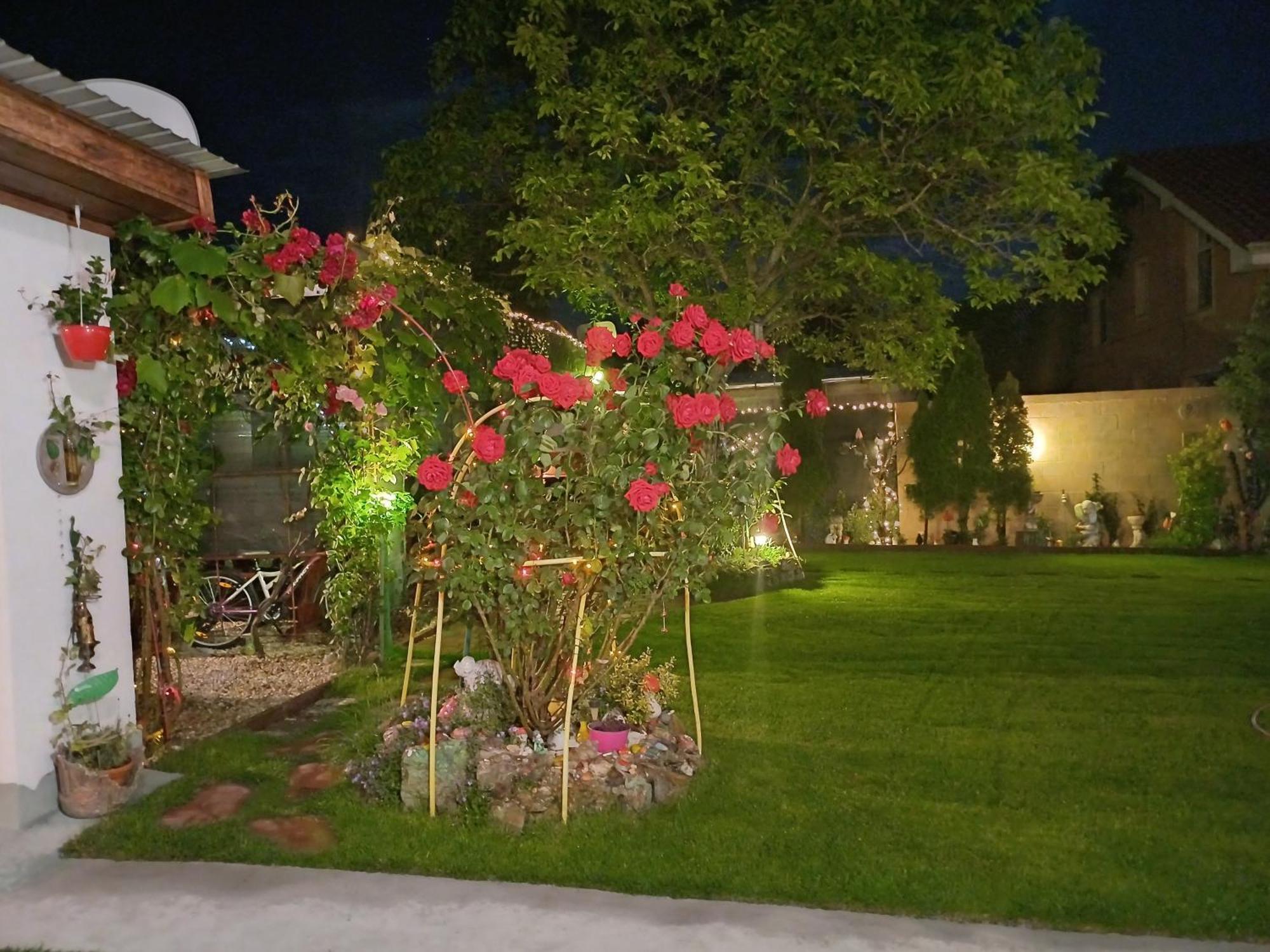 Casa Marinela Hotel Băile Felix Eksteriør billede